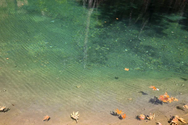 Bergmeer met heldergroene water en gevallen gele bladeren — Stockfoto