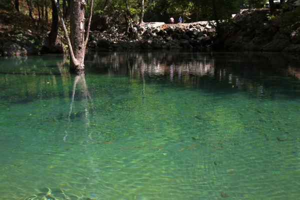 Dağ Gölü ile temiz yeşil su — Stok fotoğraf