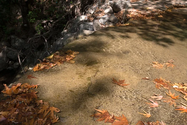 Fiume di montagna con acqua pulita e foglie gialle cadute — Foto Stock