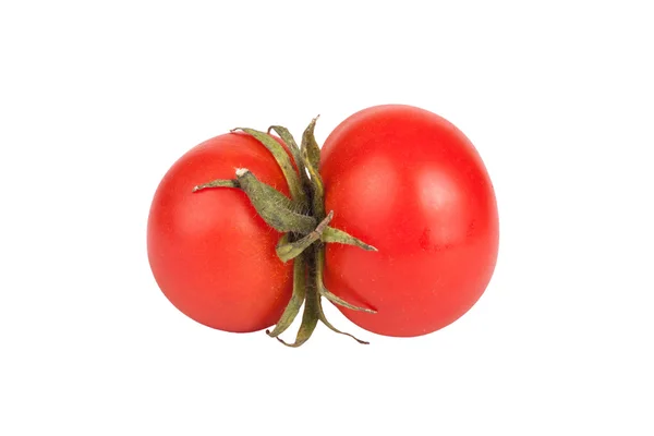 Tomaten-Zwillinge isoliert auf weißem Hintergrund — Stockfoto