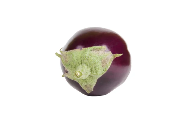 Aubergine isoliert auf weißem Hintergrund — Stockfoto