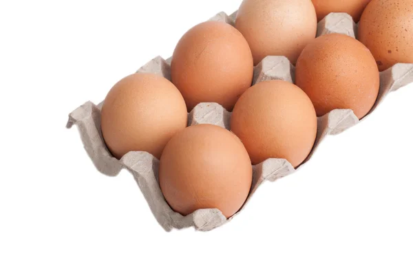 Τα αυγά μέσα σε ένα χαρτόκουτο που απομονώνονται σε λευκό φόντο — Φωτογραφία Αρχείου