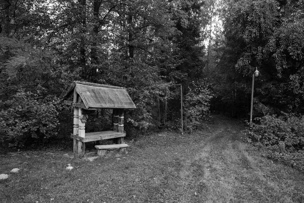 Abandoned buildings in the forest.In the black and white version — Stock Photo, Image
