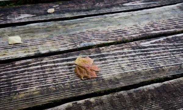 Textura del puente de madera con hoja amarilla — Foto de Stock