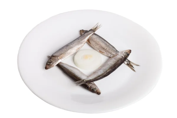 Sprats on plate isolated on white background — Stock Photo, Image