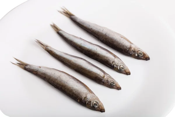 Sprats on plate isolated on white background — Stock Photo, Image