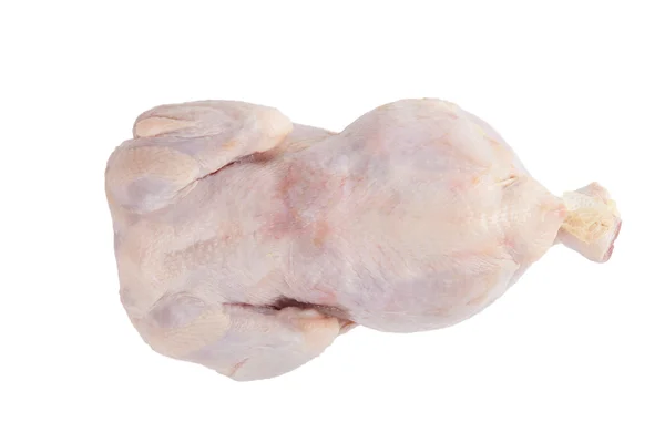 Fagyasztott csirke elszigetelt fehér background — Stock Fotó