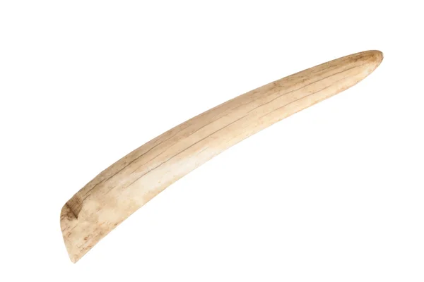 Velha morsa presa para marfim escultura isolado no fundo branco — Fotografia de Stock