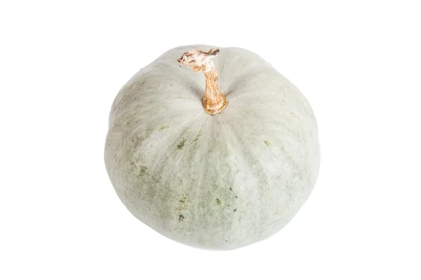Green pumpkin isolated on white background — Stock Photo, Image