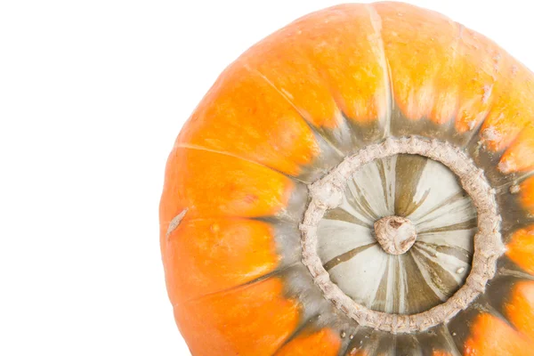 Yellow pumpkin isolated on white background — Stock Photo, Image