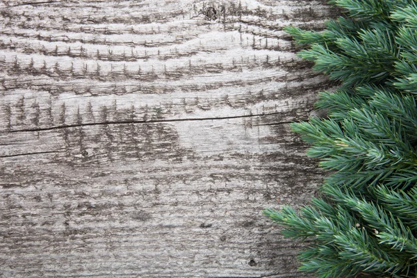 Vecchio sfondo in legno con ramo di pino, immagine della tavola da pavimento — Foto Stock