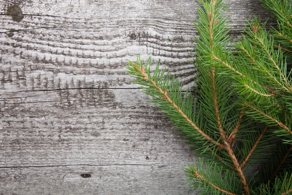 Old wooden background with pine branch, image of flooring board — Stock Photo, Image