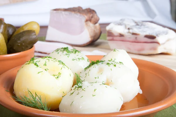 Picles, batata e bacon com um guardanapo verde e prato — Fotografia de Stock