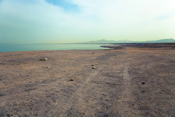 Egyptian Red Sea coast in Nabq National Park — Stock Photo, Image