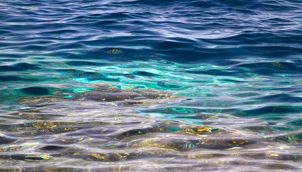 Background of ocean bottom in tropical green waters — стоковое фото