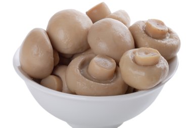 Marine mantar beyaz arka plan üzerinde izole bir kase. Shal