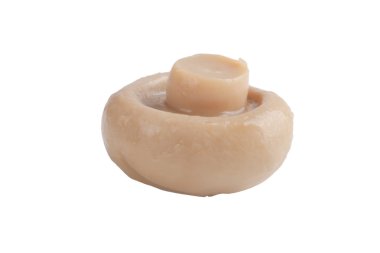 Marine mantar beyaz arka plan üzerinde izole. Sığ derinlik 