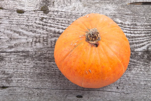 Autumn background with pumpkin on wooden board — Stock Photo, Image