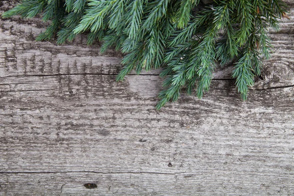 Eski ahşap arka plan ile çam dalı, tahta döşeme görüntü — Stok fotoğraf