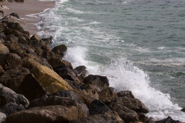 okyanus kıyısında sörf. renkli