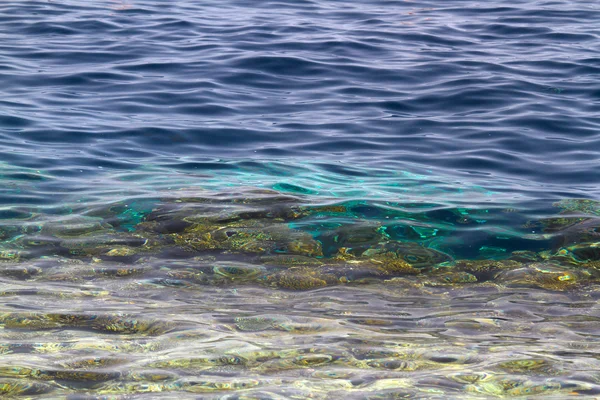 Background of ocean bottom in tropical green waters — стоковое фото
