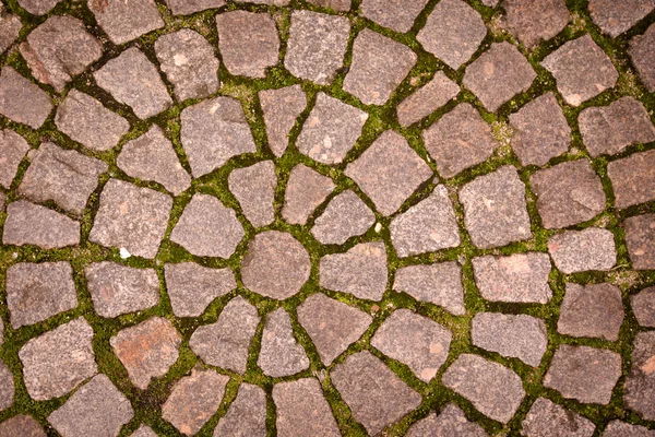 Paving stone laid out circles. background — Stock Photo, Image