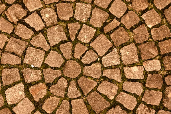 Paving stone laid out circles. background — Stock Photo, Image