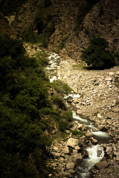 Górskie rzeki. Kamienie. Rośliny zielone. Stonowanych. Dramatyczne — Zdjęcie stockowe