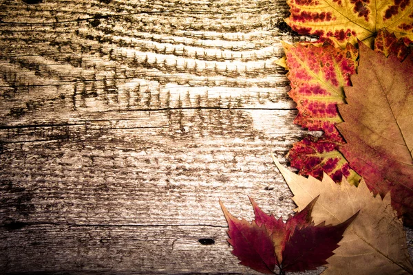 Herfst bladeren over oude houten achtergrond — Stockfoto