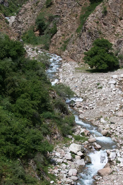 Górskie rzeki. Kamienie. Rośliny zielone — Zdjęcie stockowe