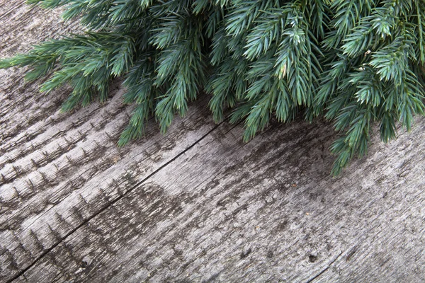 Staré dřevěné pozadí s borových větví, obraz podlahové desky — Stock fotografie