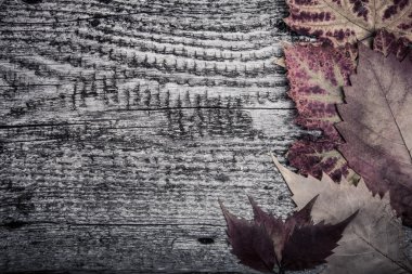 Eski ahşap arka planda sonbahar yaprakları 
