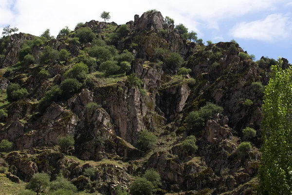 Скалистая гора. Пейзаж. Таджикистан — стоковое фото