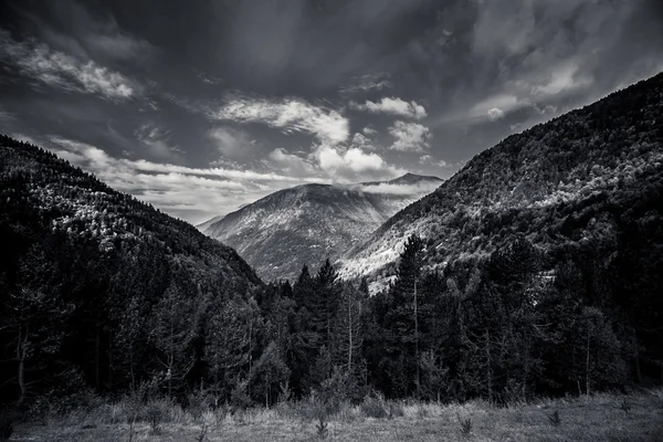 Forested valleys between the mountains. andorra — Stock Photo, Image