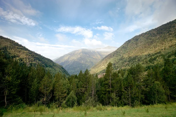 Valli boschive tra le montagne. andorra — Foto Stock