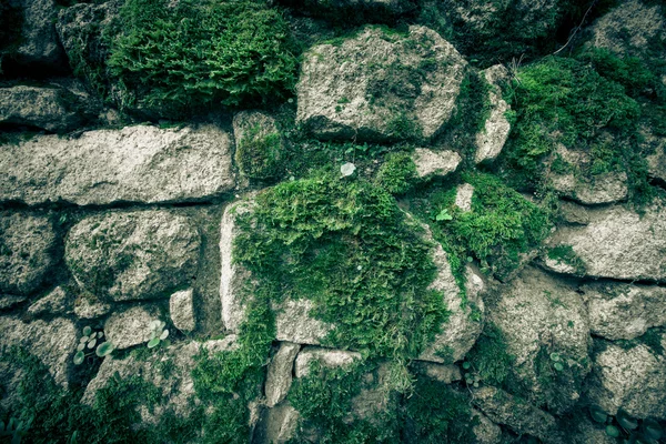 Текстура из натурального камня и мха — стоковое фото