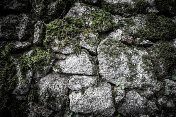 Texture of natural stone and moss — Stock Photo, Image