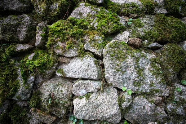Υφή της φυσικής πέτρας και βρύα — Φωτογραφία Αρχείου