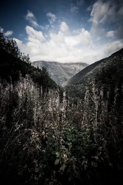 Zalesionych dolin między górami. Andora — Zdjęcie stockowe