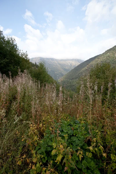 Beboste valleien tussen de bergen. Andorra — Stockfoto