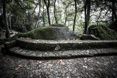 Arnavut kaldırımlı yol Sarayı köpük kayalar ve ağaçlar arasında bir