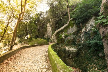 Arnavut kaldırımlı yol kayalar ve ağaçlar arasında palace köpük için
