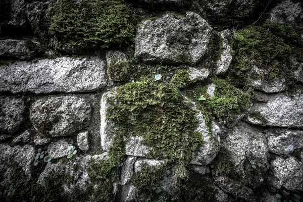 Текстура из натурального камня и мха — стоковое фото