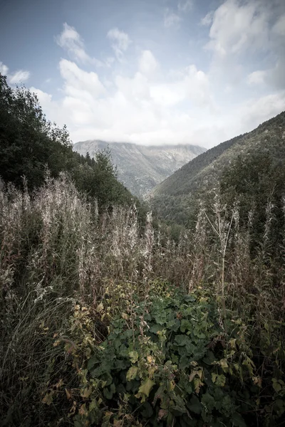 Forested valleys between the mountains. andorra — Stock Photo, Image