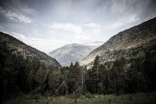 Skogsklädda dalar mellan bergen. Andorra — Stockfoto