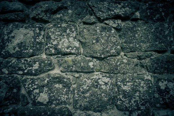 Ściany z kamienia naturalnego z Lichenia — Zdjęcie stockowe