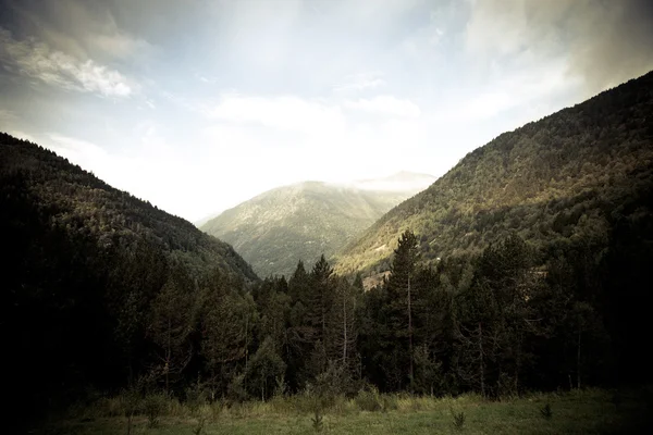 Skogsklädda dalar mellan bergen. Andorra — Stockfoto