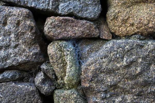 Natural stone with cobwebs. background — Stock Photo, Image