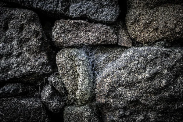 Kamień naturalny z pajęczyną. tło — Zdjęcie stockowe