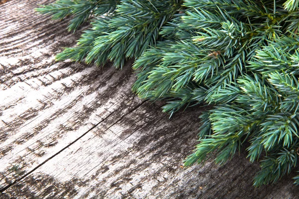 Weihnachtsbaum auf altem Holz verstreut. — Stockfoto